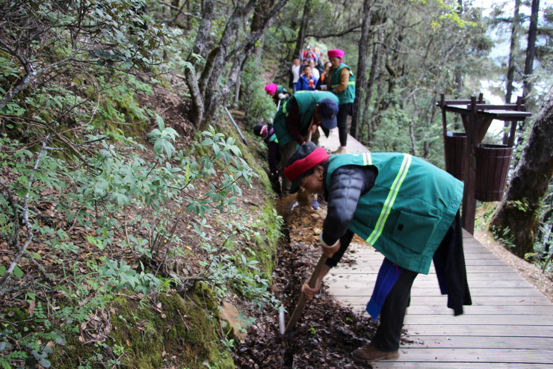 1666838119077 ͼƬ